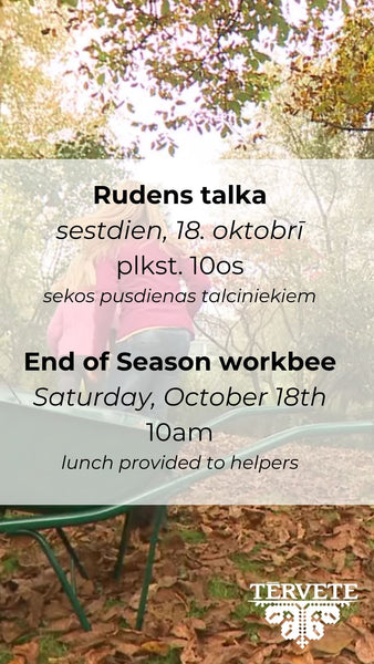 Rudens talka
